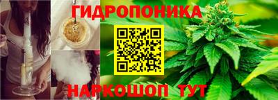 винт Канаш