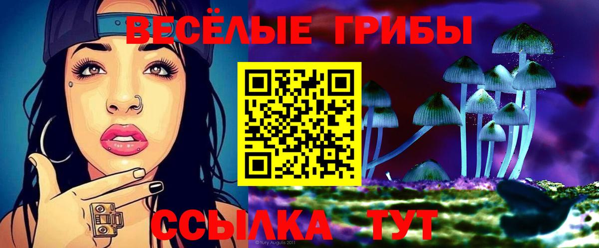 Галлюциногенные грибы мицелий Бирск